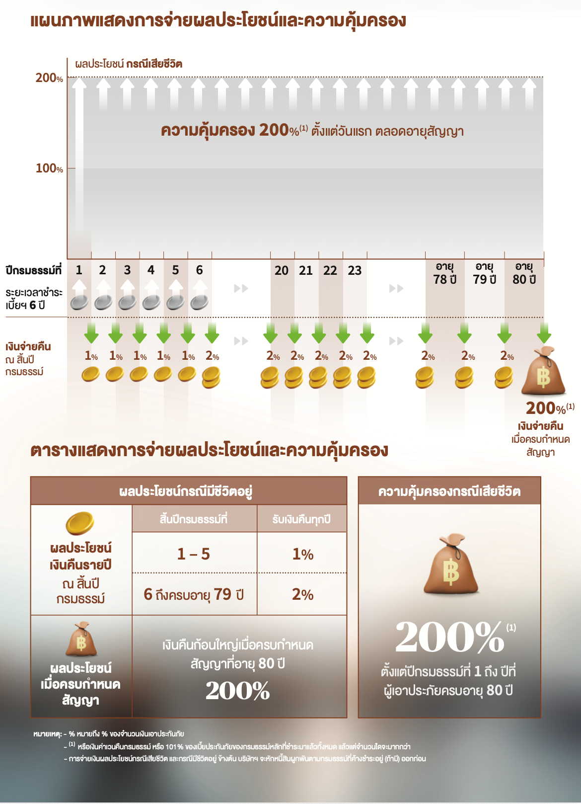 แผนภาพผลประโยชน์และความคุ้มครอง iSmart 80/6